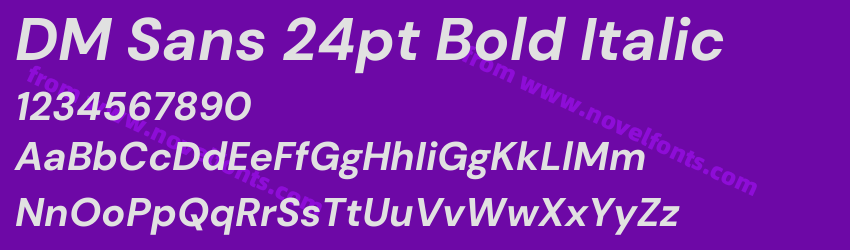 DM Sans 24pt Bold ItalicPreview DM Sans 24pt Bold ItalicPreview