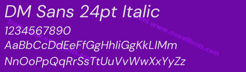 DM Sans 24pt ItalicPreview DM Sans 24pt ItalicPreview