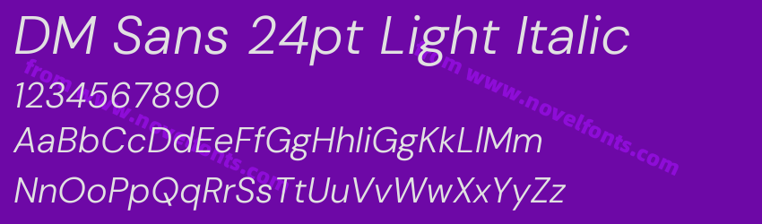 DM Sans 24pt Light ItalicPreview DM Sans 24pt Light ItalicPreview