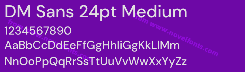 DM Sans 24pt MediumPreview DM Sans 24pt MediumPreview