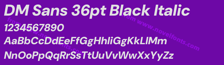 DM Sans 36pt Black ItalicPreview DM Sans 36pt Black ItalicPreview