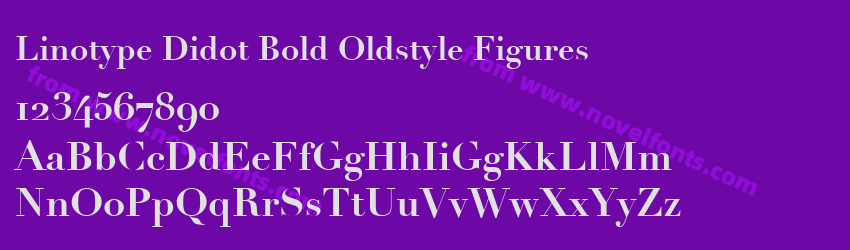 Linotype Didot Bold Oldstyle FiguresPreview