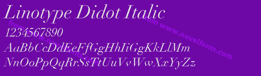 Linotype Didot ItalicPreview