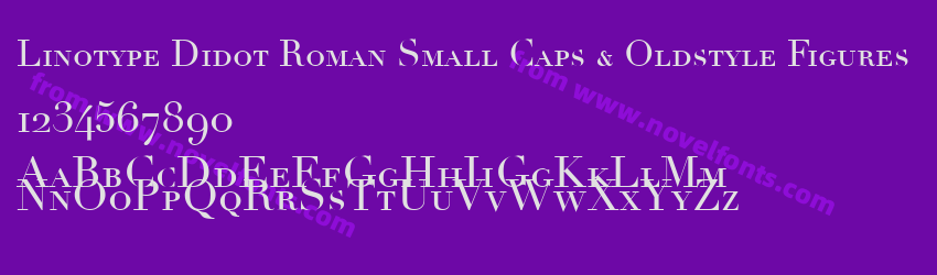 Linotype Didot Roman Small Caps & Oldstyle FiguresPreview