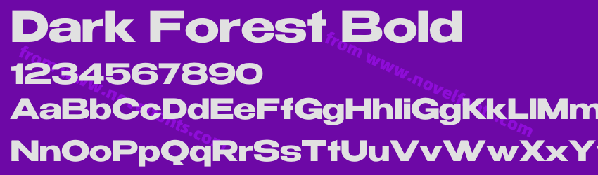 Dark Forest BoldPreview Dark Forest BoldPreview