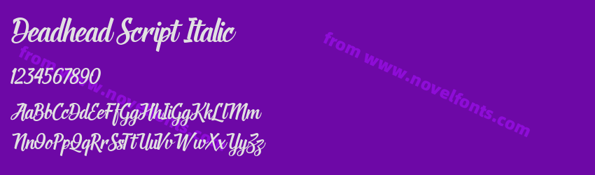 Deadhead Script ItalicPreview Deadhead Script ItalicPreview