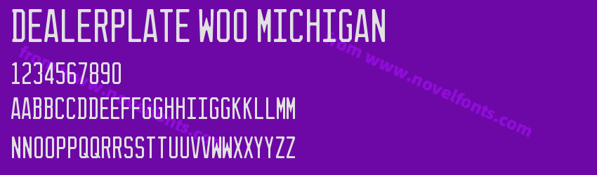 Dealerplate W00 MichiganPreview Dealerplate W00 MichiganPreview