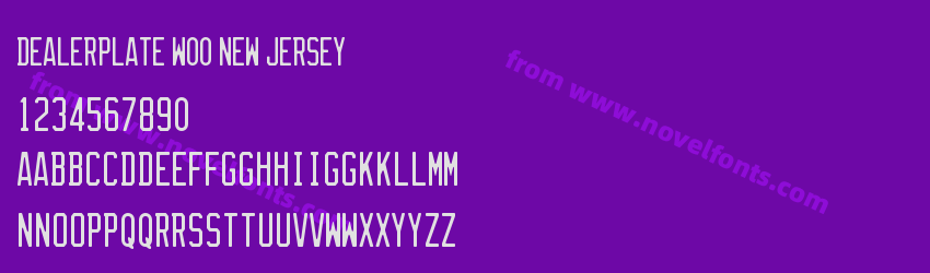 Dealerplate W00 New JerseyPreview Dealerplate W00 New JerseyPreview