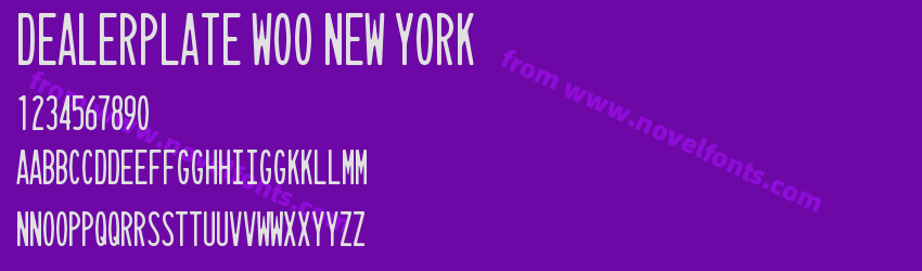 Dealerplate W00 New YorkPreview Dealerplate W00 New YorkPreview