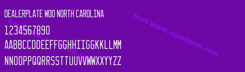 Dealerplate W00 North CarolinaPreview Dealerplate W00 North CarolinaPreview