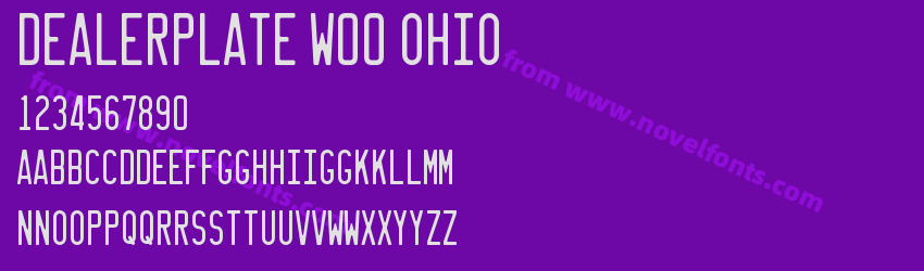 Dealerplate W00 OhioPreview Dealerplate W00 OhioPreview
