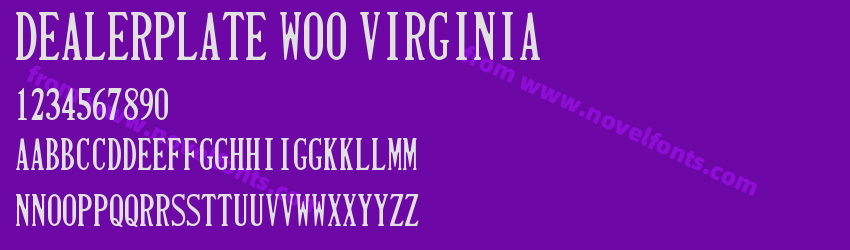 Dealerplate W00 VirginiaPreview Dealerplate W00 VirginiaPreview