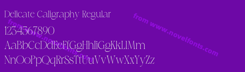 Delicate Caligraphy RegularPreview