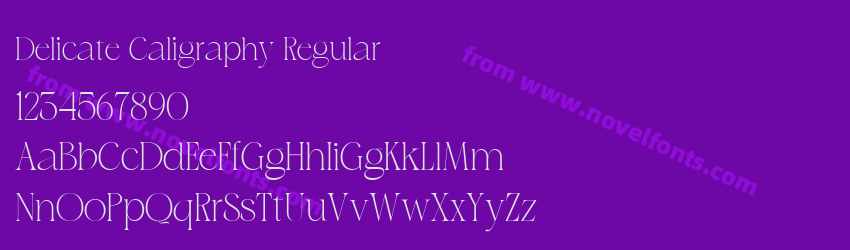 Delicate Caligraphy RegularPreview Delicate Caligraphy RegularPreview