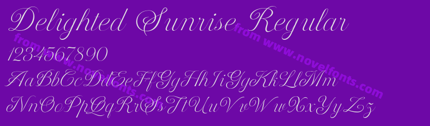 Delighted Sunrise RegularPreview Delighted Sunrise RegularPreview