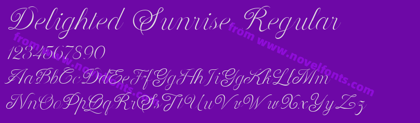 Delighted Sunrise RegularPreview Delighted Sunrise RegularPreview