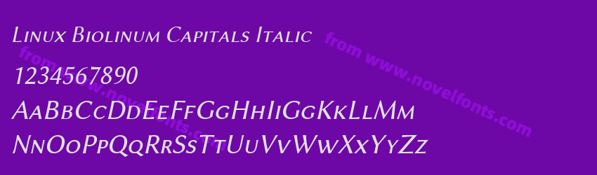 Linux Biolinum Capitals ItalicPreview