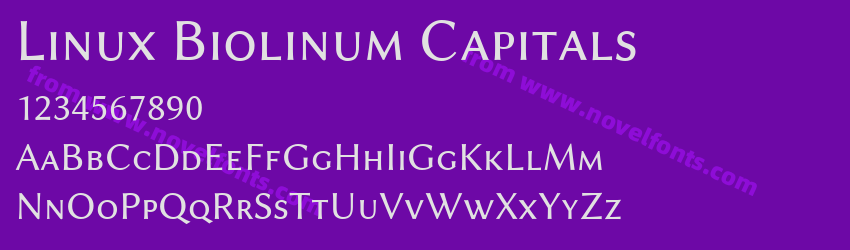 Linux Biolinum CapitalsPreview