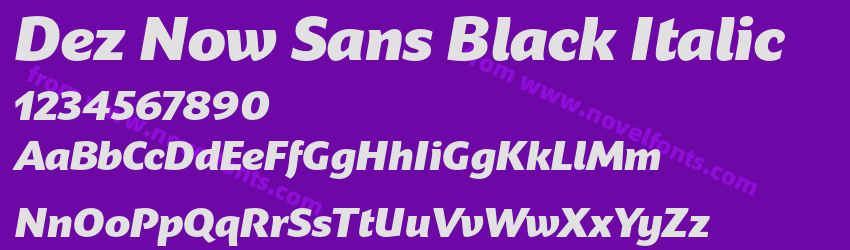 Dez Now Sans Black ItalicPreview