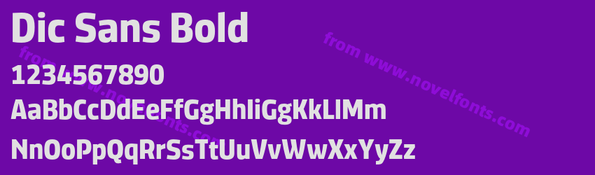 Dic Sans BoldPreview