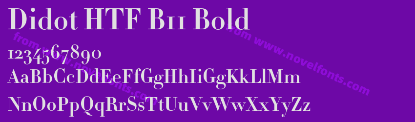 Didot HTF B11 BoldPreview