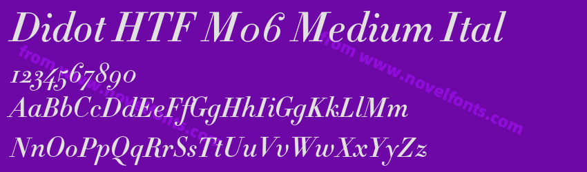 Didot HTF M06 Medium ItalPreview