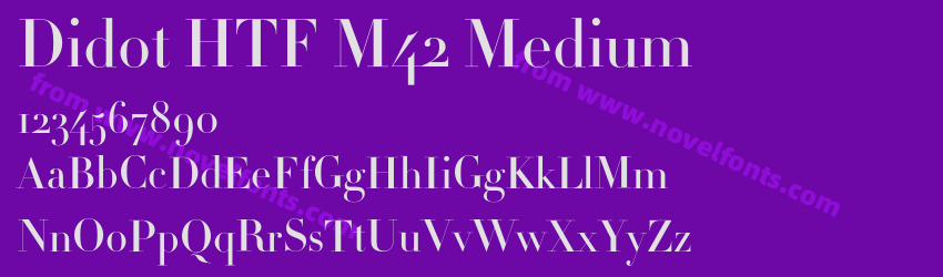 Didot HTF M42 MediumPreview