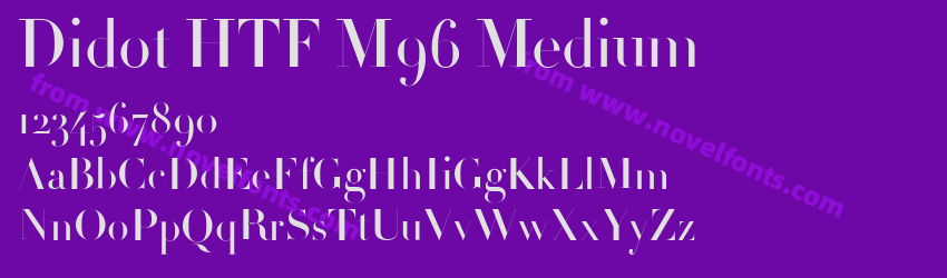 Didot HTF M96 MediumPreview