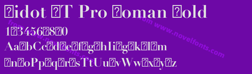 Didot LT Pro Roman BoldPreview