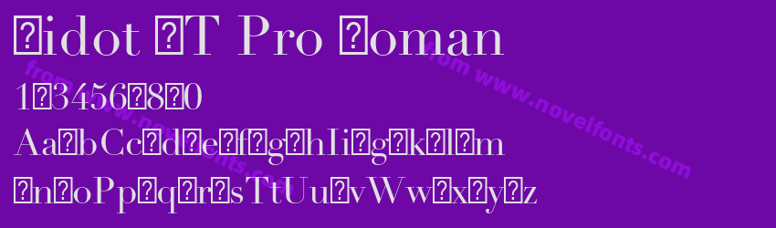 Didot LT Pro RomanPreview