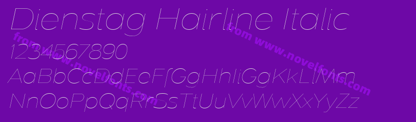 Dienstag Hairline ItalicPreview