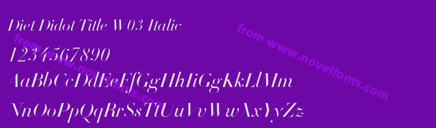 Diet Didot Title W03 ItalicPreview