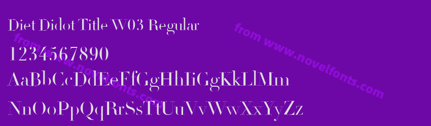 Diet Didot Title W03 RegularPreview