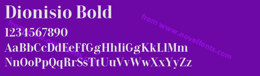 Dionisio BoldPreview