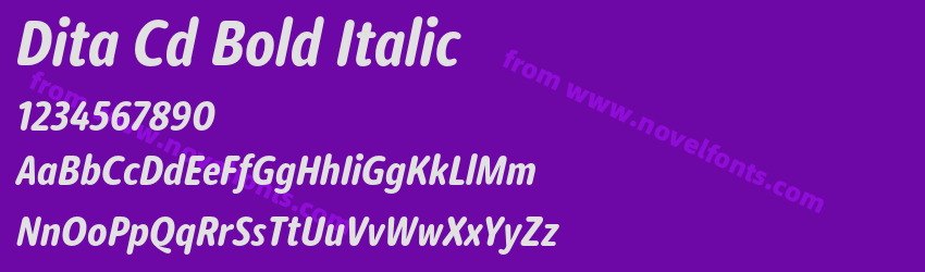 Dita Cd Bold ItalicPreview Dita Cd Bold ItalicPreview