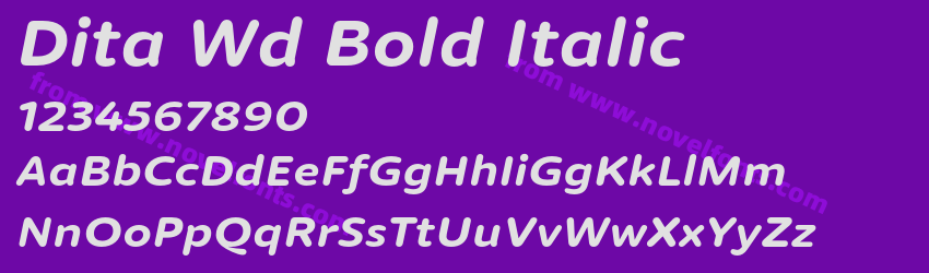Dita Wd Bold ItalicPreview