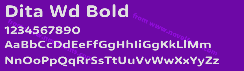 Dita Wd BoldPreview Dita Wd BoldPreview