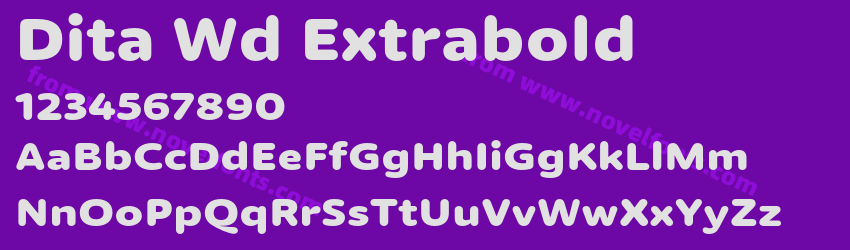 Dita Wd ExtraboldPreview
