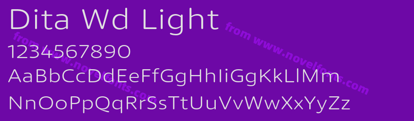 Dita Wd LightPreview