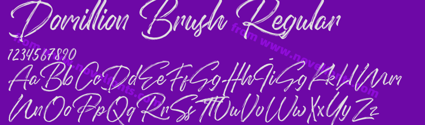 Domillion Brush RegularPreview Domillion Brush RegularPreview