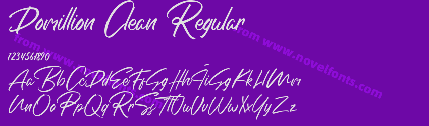 Domillion Clean RegularPreview