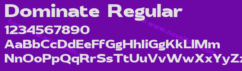 Dominate RegularPreview
