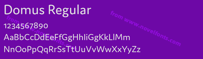 Domus RegularPreview