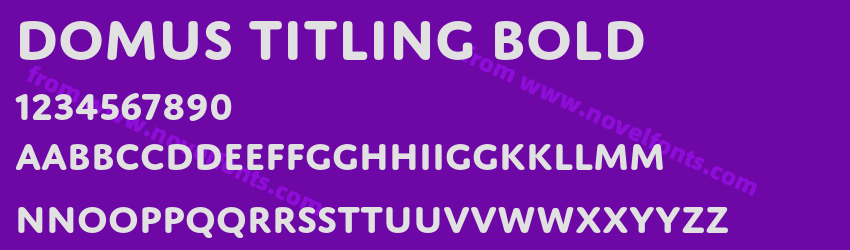 Domus Titling BoldPreview