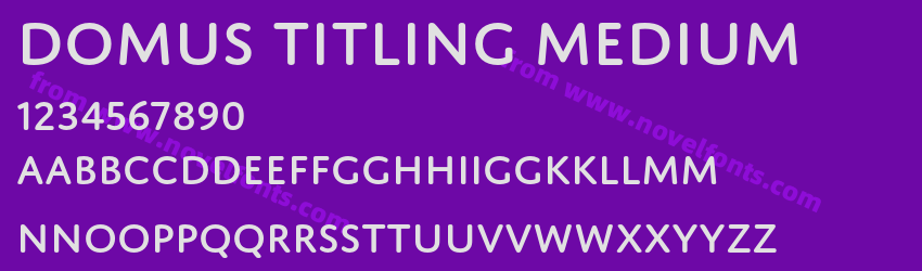 Domus Titling MediumPreview
