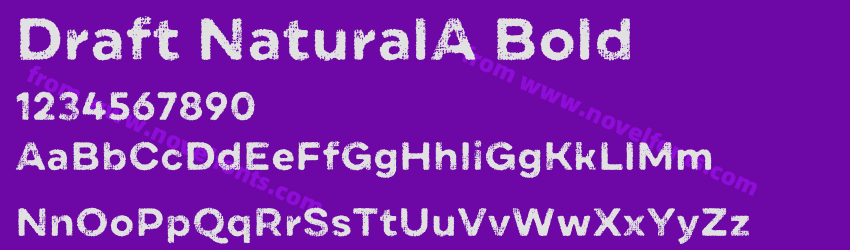 Draft NaturalA BoldPreview