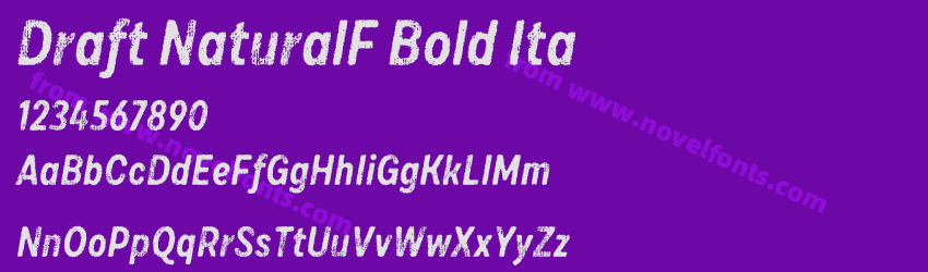 Draft NaturalF Bold ItaPreview