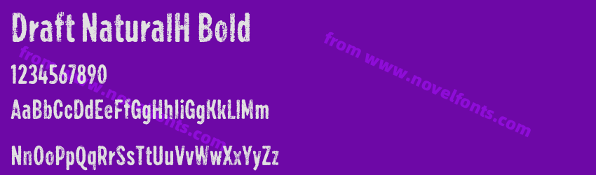 Draft NaturalH BoldPreview