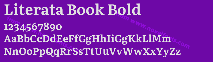 Literata Book BoldPreview