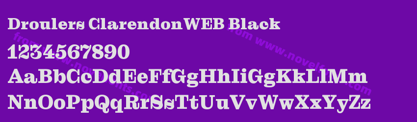 Droulers ClarendonWEB BlackPreview